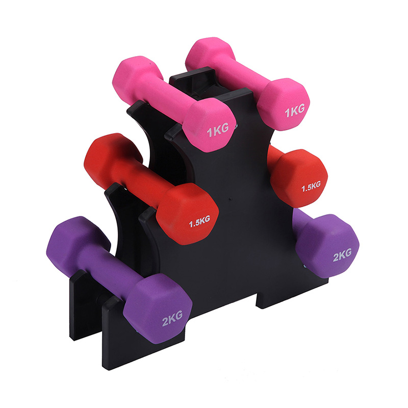 Set Dumbbell Home Gym